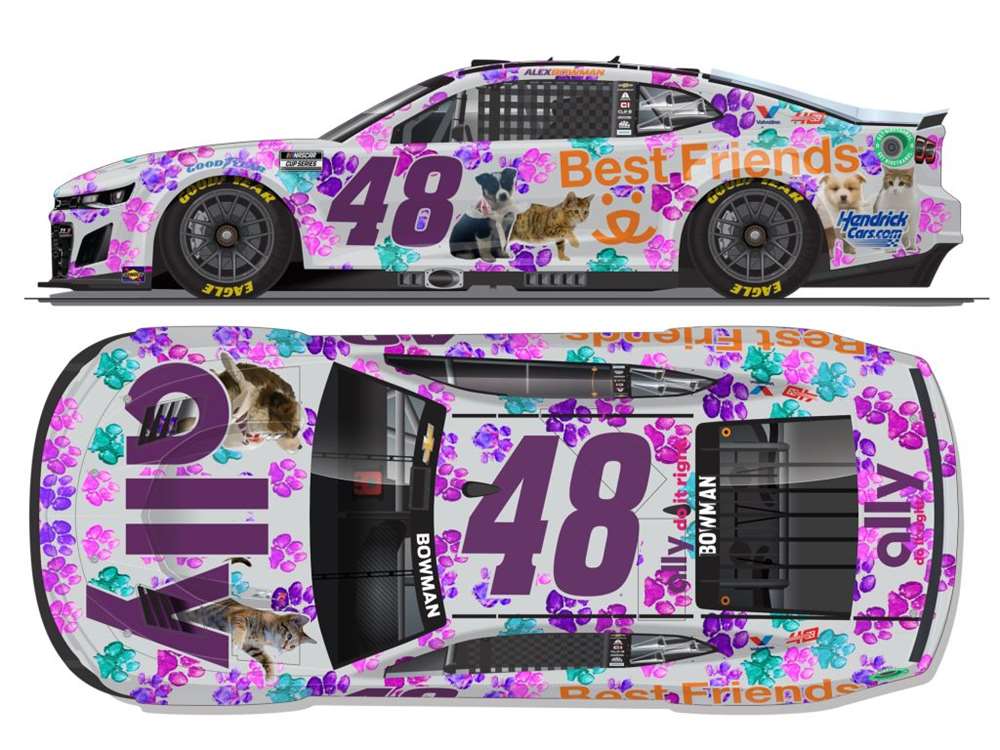 Alex Bowman 2024 - #48 Ally Best Friends - 1:24 ELITE Diecast
