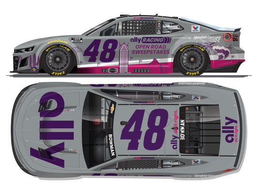 Alex Bowman 2025 - #48 Ally Open Road Sweepstakes - 1:24 ARC Chrome Diecast