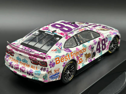 Alex Bowman 2024 - #48 Ally Best Friends - 1:24 ARC Diecast