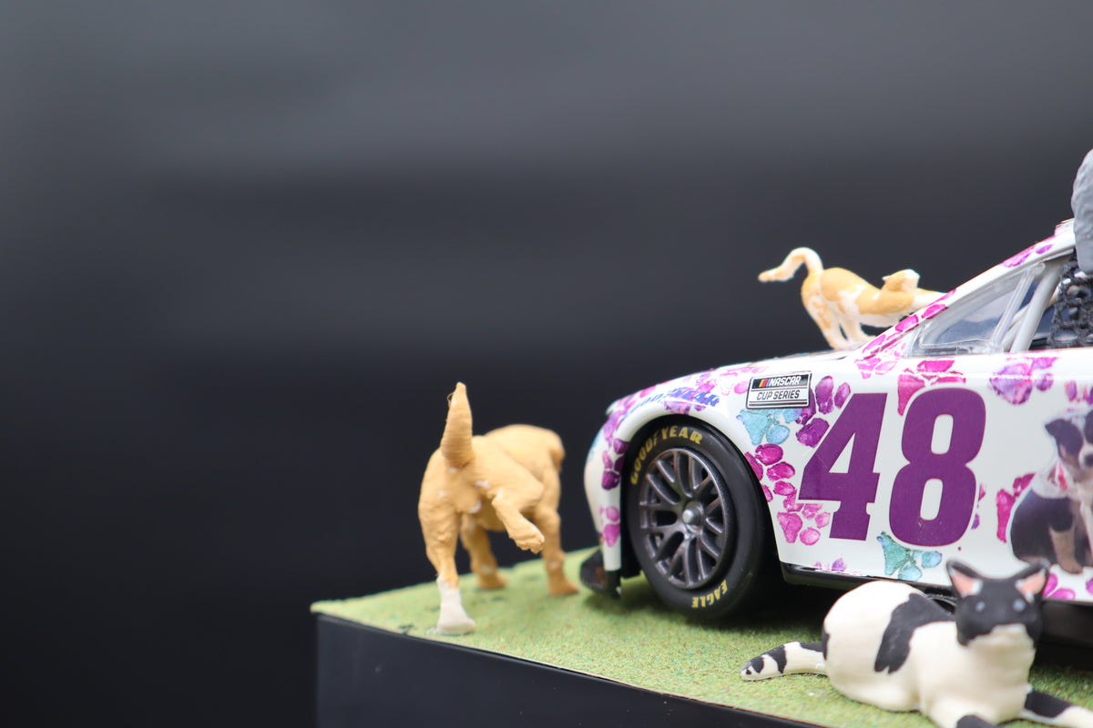 MrMuffin Racing Custom 2024 Alex Bowman #48 Best Friends "On the Grass" Fantasy Diecast - MRMRC-013
