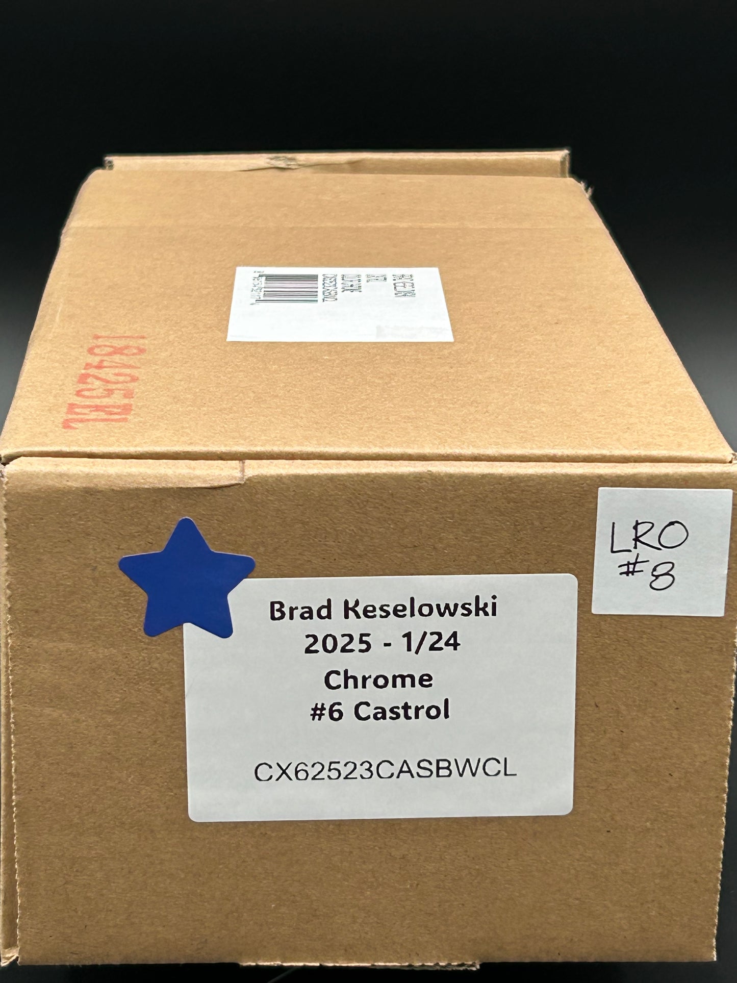 Brad Keselowski 2025 - #6 Castrol - 1:24 ARC Chrome Diecast - LRO#08
