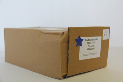 Brad Keselowski 2025 - #6 Castrol - 1:24 ARC Chrome Diecast - LRO#09