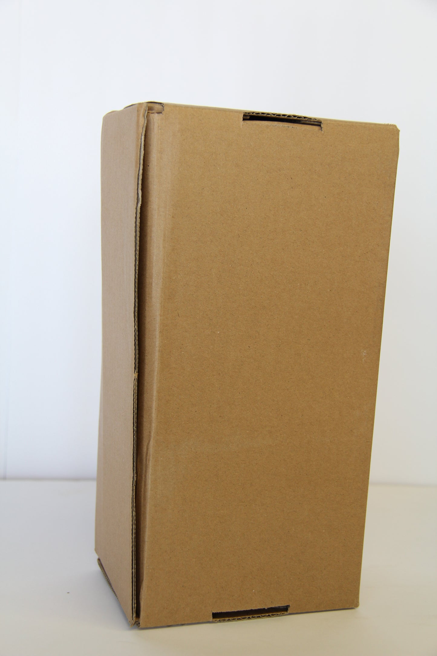 Brad Keselowski 2025 - #6 Castrol - 1:24 ARC Chrome Diecast - LRO#09